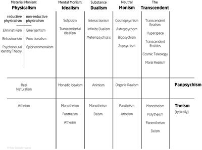 On the need for metaphysics in psychedelic therapy and research